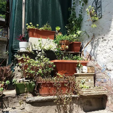 Appartement Bilocale Con Terrazzo Maggiore *