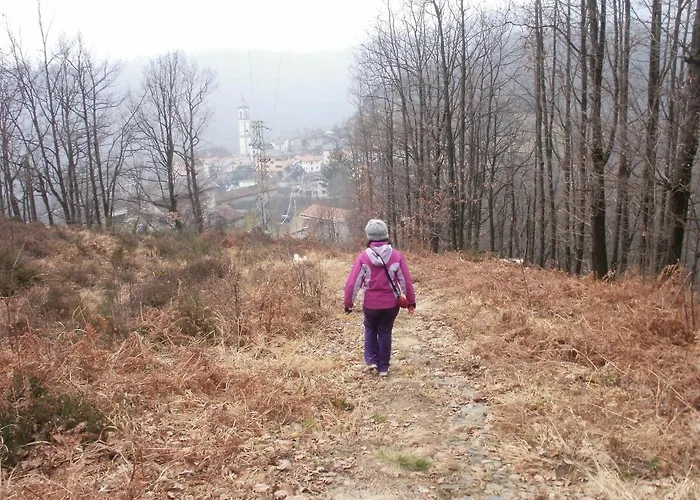 Bilocale Con Terrazzo Maggiore