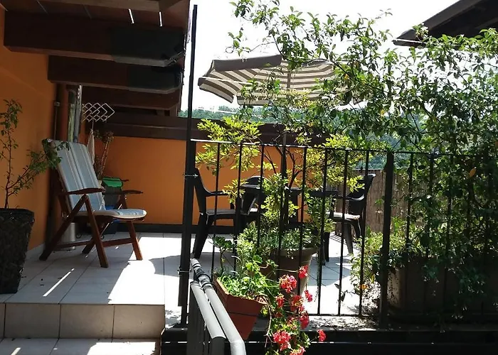 דירה Bilocale Con Terrazzo Maggiore Cossogno