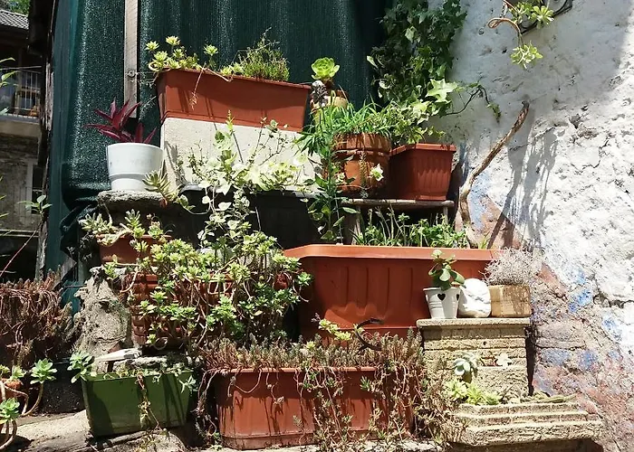 דירה Bilocale Con Terrazzo Maggiore *